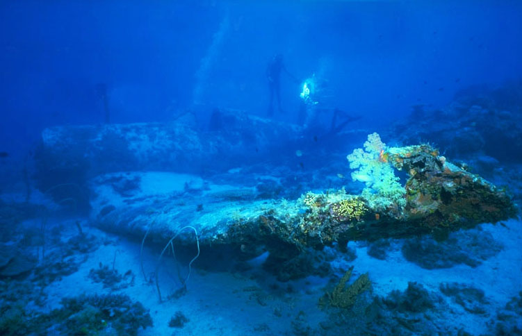 WWII training Corsair in 30m, North Efate, Vanuatu