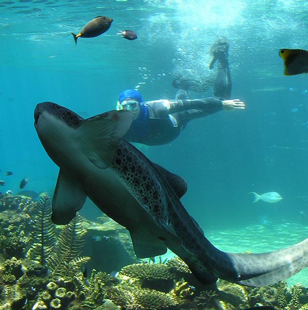 David with one of Sea World's residents